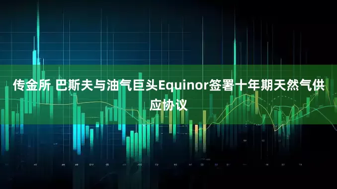 传金所 巴斯夫与油气巨头Equinor签署十年期天然气供应协议